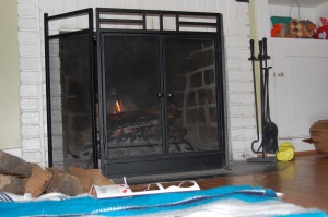 is there anything better than a little fire on a cold day? It forces me to slow down and stay put.