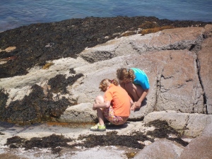 Searching through the tide pools at "Pirates rock"